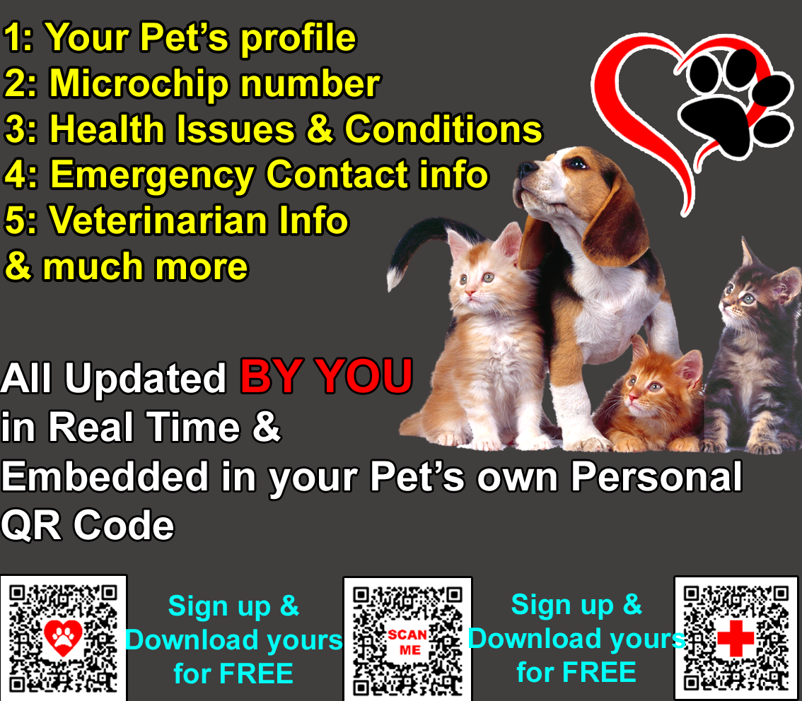 pet home page copy